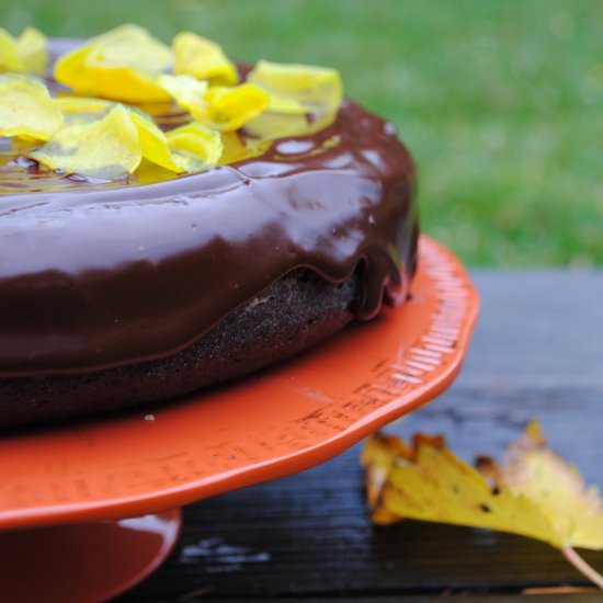 Chocolate Beet Cake