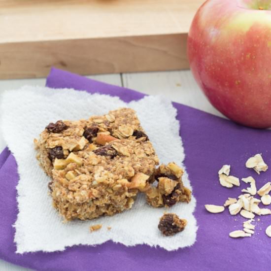 Apple, Cinnamon, and Raisin Granola Bar