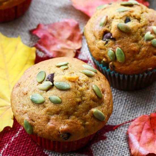 Pumpkin Chocolate Chip Muffins