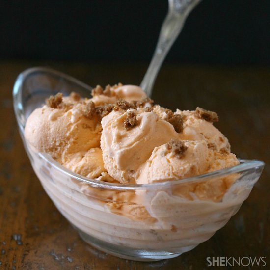 Vegan pumpkin ice cream