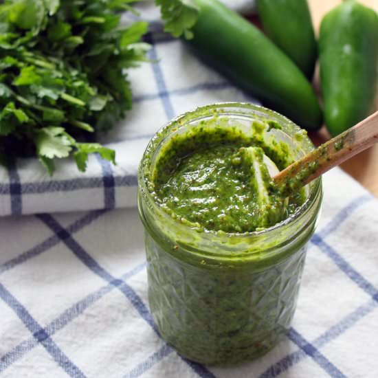 Cilantro Jalapeno Pesto