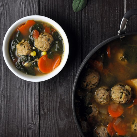 SAVORY ALBONDIGAS (MEATBALL) SOUP