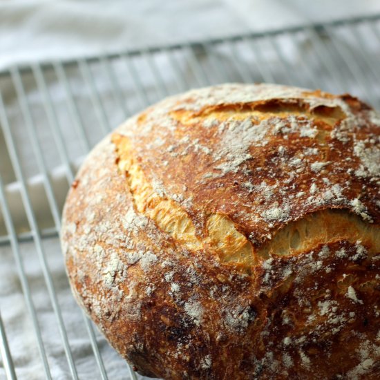 Parmesan Thyme Crusty Bread