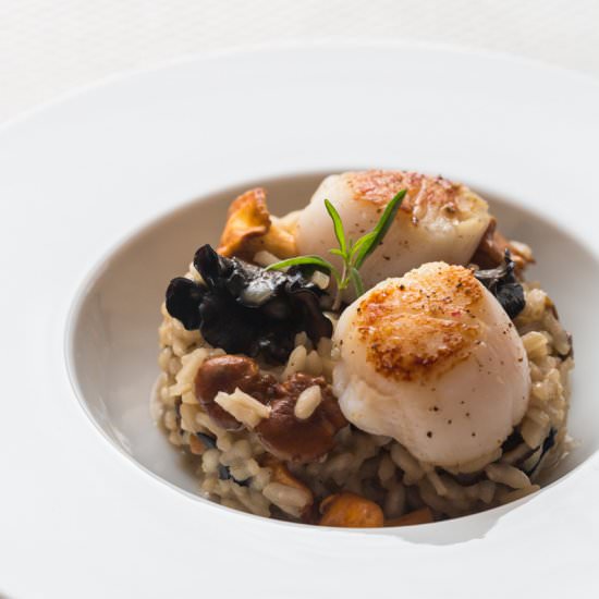 Risotto with Mushrooms & Scallops