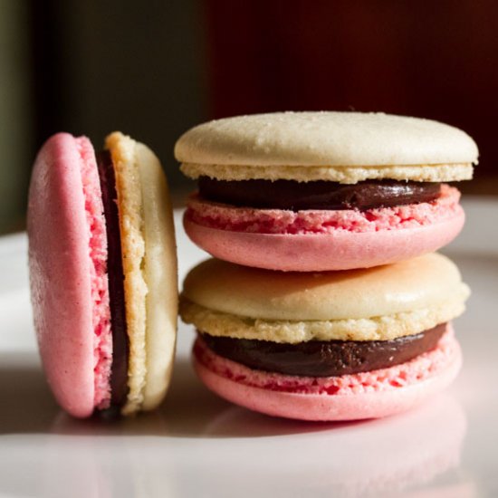 Macarons with Chocolate Ganache