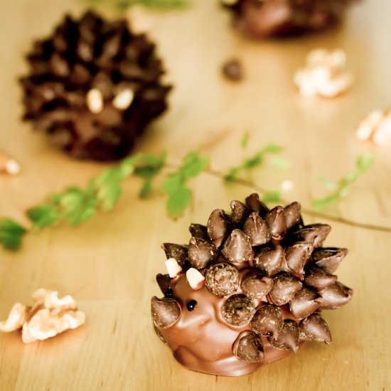 Chocolate Hedgehogs