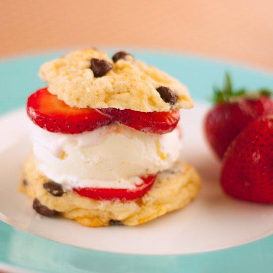 Chocolate Chip Ice Cream Cookie