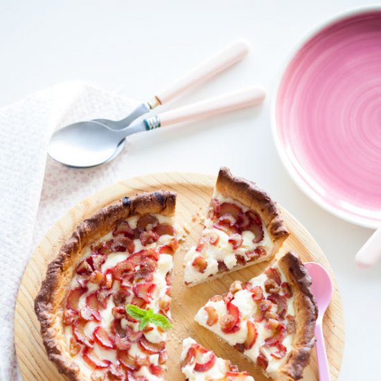 Rhubarb tart with cheese filling