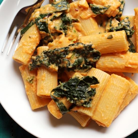 Rigatoni with spicy pumpkin cream