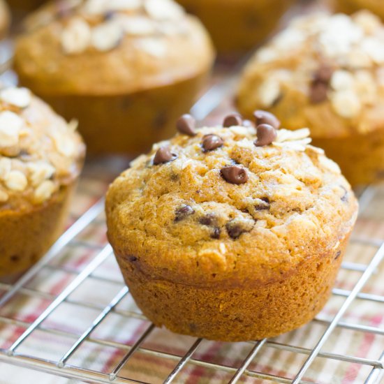 Pumpkin Chocolate Chip Muffins