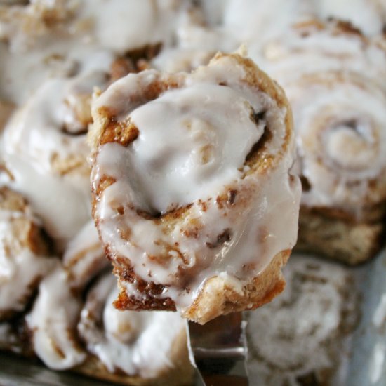 Apple Cider Cinnamon Rolls