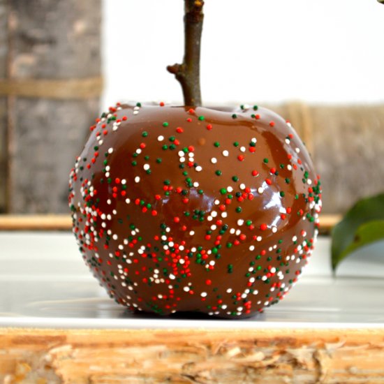 Candied Chocolate covered Apples