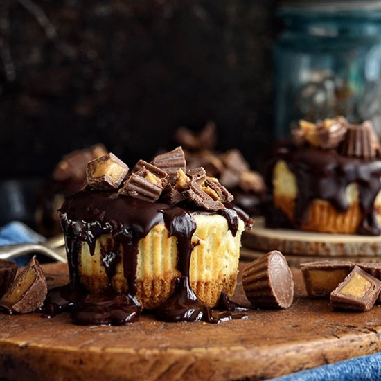 Peanut Butter Cheesecake Minis