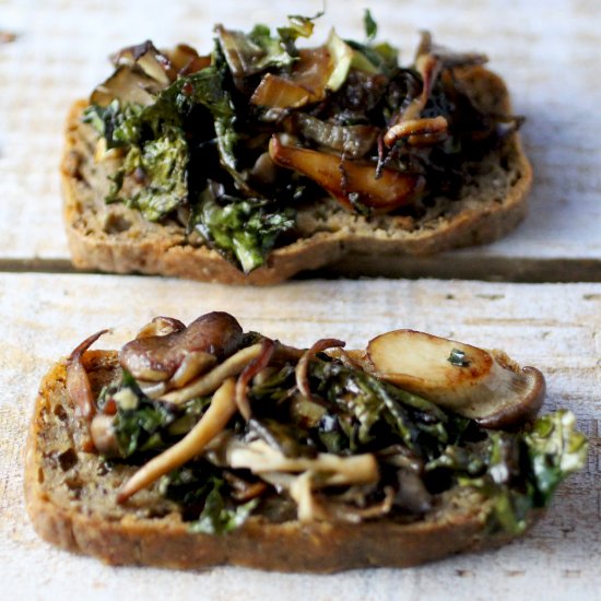 Wild Mushroom and Onion Crostini