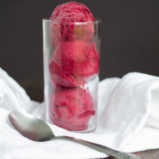 Concord Grape Sorbet