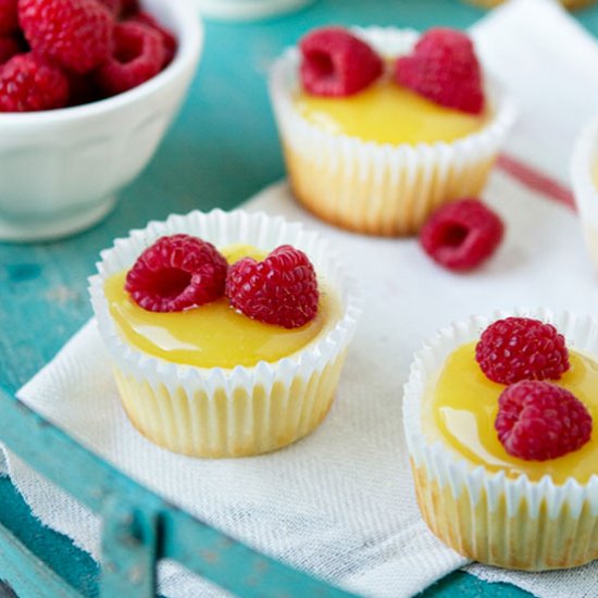 Mini Lemon Cheesecakes