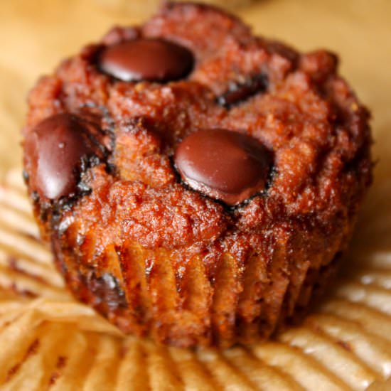 Chocolate Chip Pumpkin Muffins