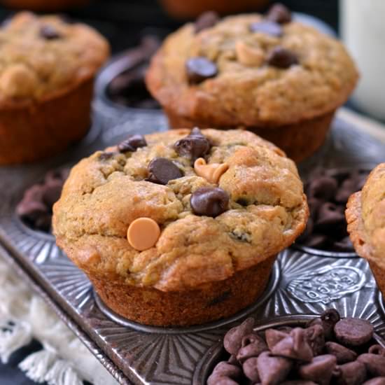 PB Banana Chocolate Chip Muffins