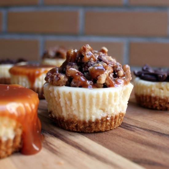 Mini Cheesecakes 4 Ways