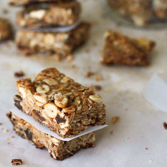 Fruit and Nut Granola Bars