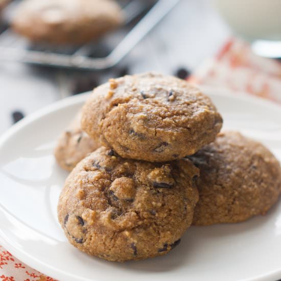 Paleo Pumpkin Chocolate Chip Cookie