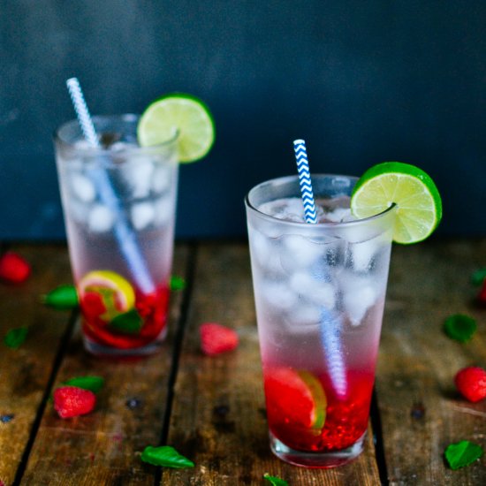 Raspberry Coconut Mojitos