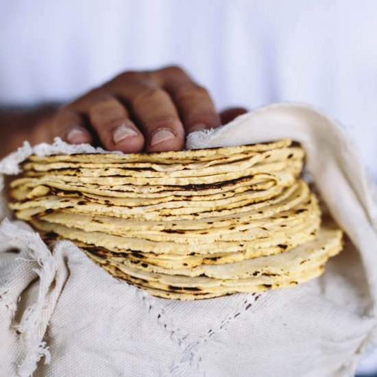 Homemade Corn Tortillas