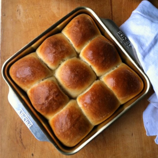 Sourdough Milk Rolls