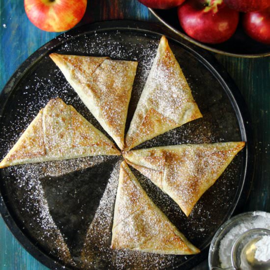 Apple Cranberry Honey Hand Pies