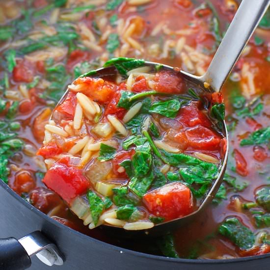 Orzo Tomato Spinach Soup