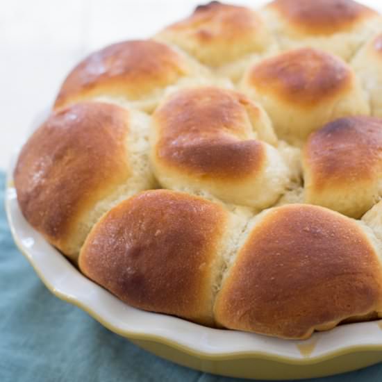 Honey Yeast Rolls