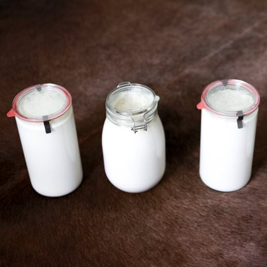 Raw-Milk Yogurt