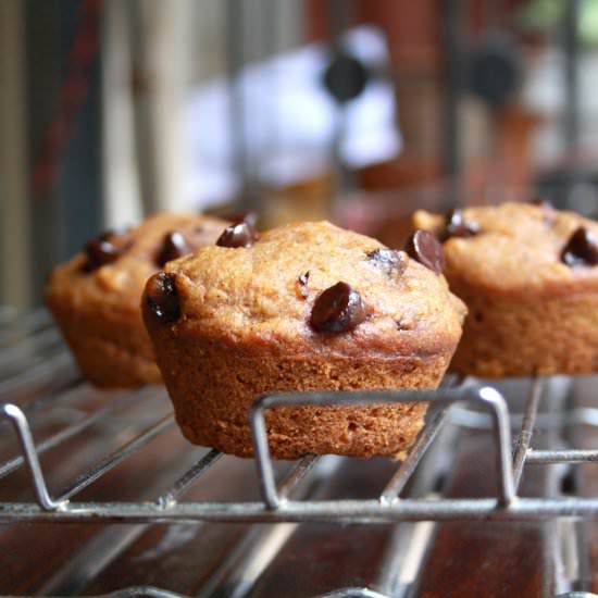 Pumpkin Chocolate Chip Muffins