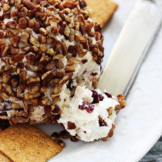 Cranberry Pecan Cheeseball