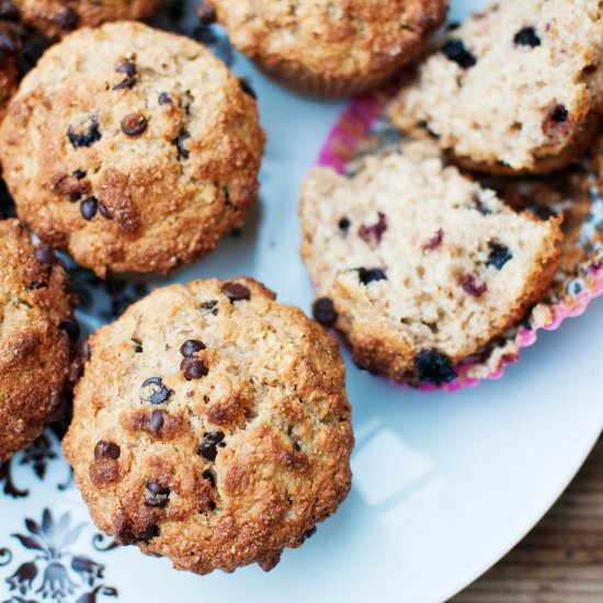 Whole Wheat Chocolate Chip Muffins