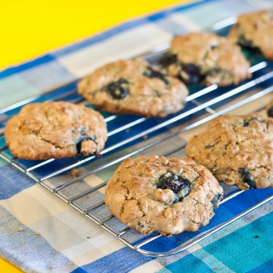 Oat & Blueberry Cookies -low fodmap