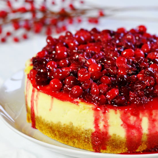 Cranberry Cheesecake