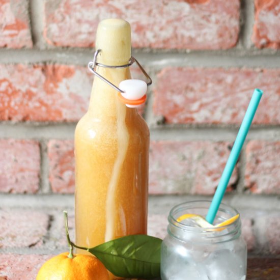 Orange Kefir Soda Pop