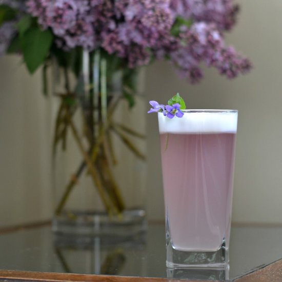 Violet Gin Fizz