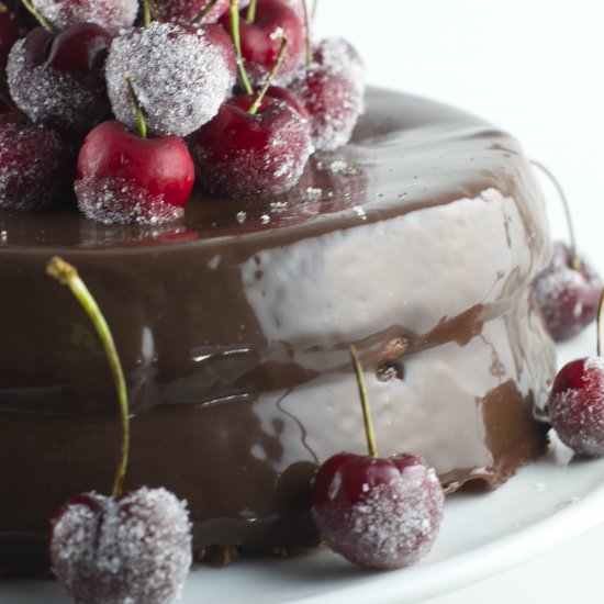 Spectacular Chocolate Cake