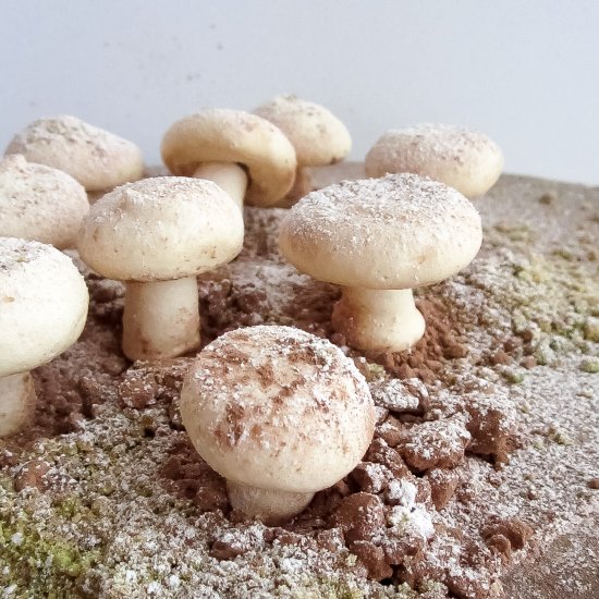 Meringue Mushrooms