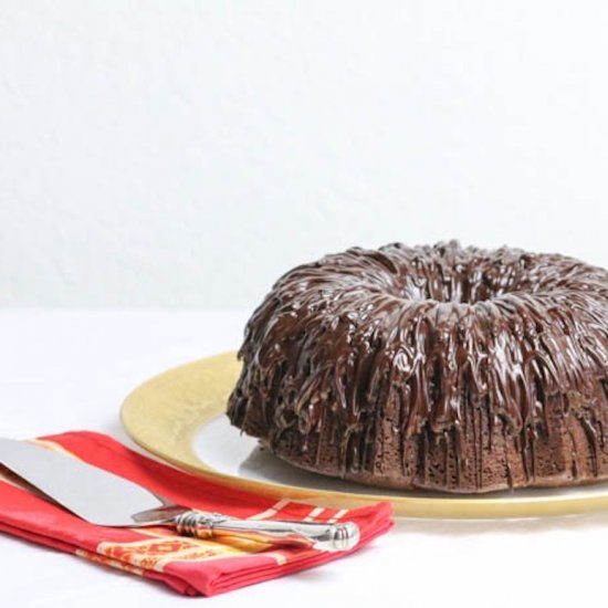 Fudgy Chocolate Berry Bundt Cake