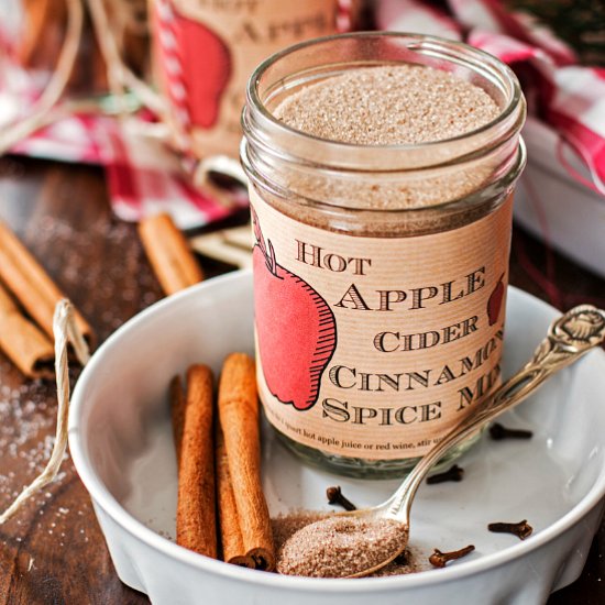 Hot Apple Cider Cinnamon Spice Mix