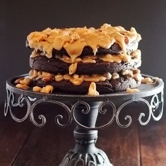 Salted Nut Praline Brownie Torte