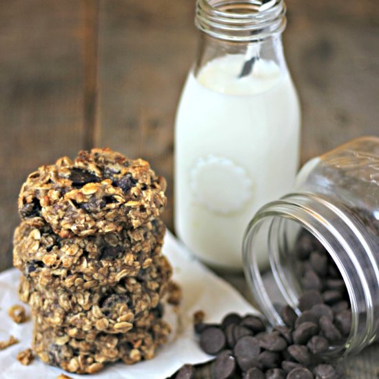 Dark Chocolate Oat Cookies