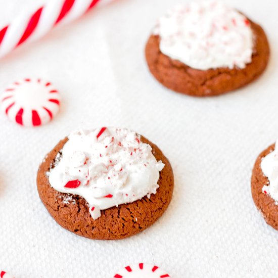 Hot Chocolate Peppermint Cookies