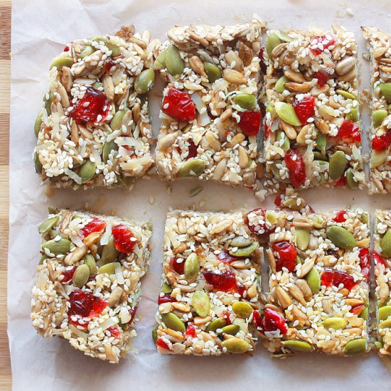 No Bake Coconut Cranberry Seed Bar