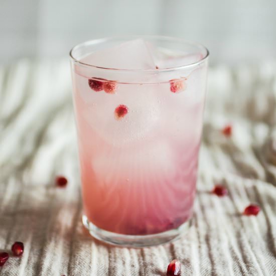 Pomegranate Gin Fizz