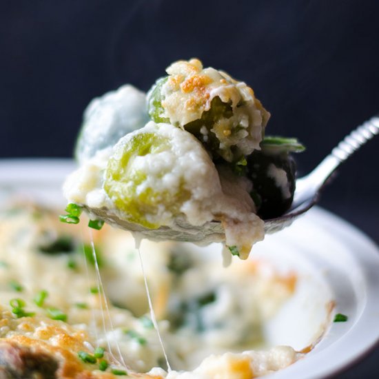 Creamy Brussels Sprouts Gratin