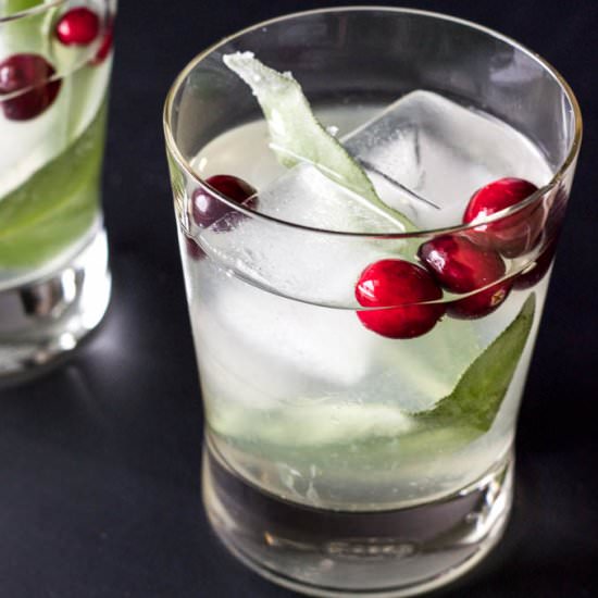 Cranberry Sage Cocktail